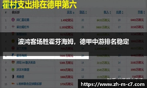 波鸿客场胜霍芬海姆，德甲中游排名稳定
